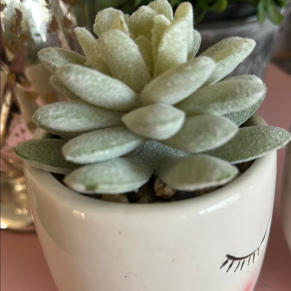 Feminine Face Planters with faux Succulents in pink and green set of two